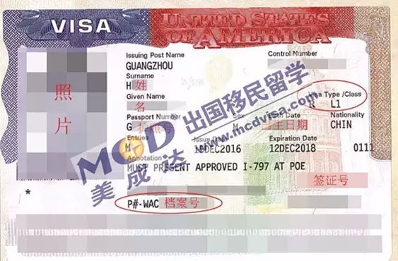 H先生-两年的L1签证 H先生-两年的L1签证