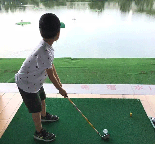 1500857945450842.gif 5p.gif