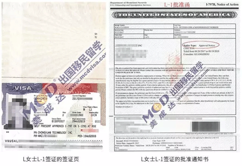 1505370731882542.gif 2a.gif