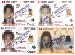 1508144945982965.jpg 1d.jpg