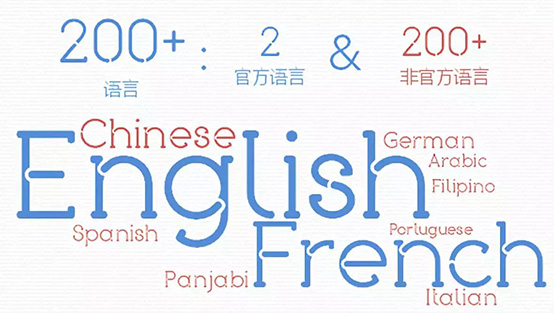 1528882196850462.jpg 未标题-2.jpg