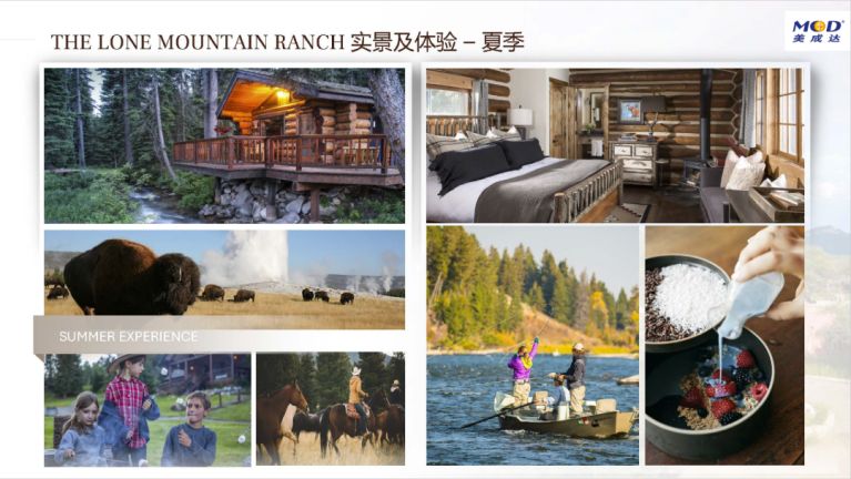 1701826851125041.jpg 11.jpg